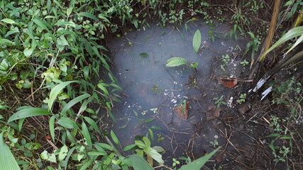 Its an natural atmosphere pictures that from the middle east of Kerala also from the southern side of India.