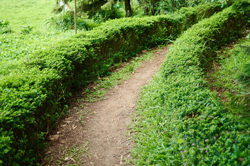Curved small path way