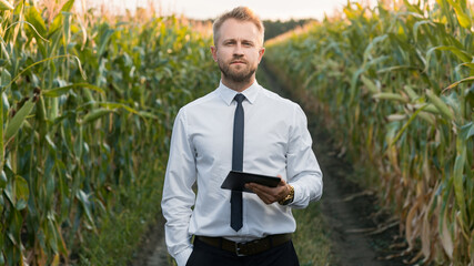 Mature, handsome, businessman holding a new, black tablet, and standing in the middle of green and yellow cornfield.