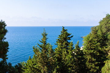 Fototapeta na wymiar Sea and pines.Healing pine forests and fresh sea air. Blue and green colors.
