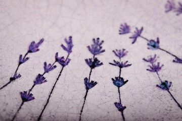 Light ceramics surface with violet lavender flowers pattern