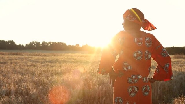 HD Video clip of African woman farmer in traditional clothes standing in a field of crops, wheat or barley, in Africa at sunset or sunrise