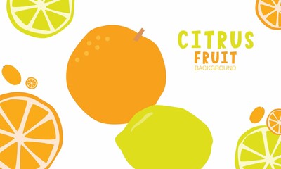 Citrus fruit vector clipart set with kumquat, whole lemon and orange slice isolated images. Wallpaper or packaging background with orange and yellow vegan food with a mask used.