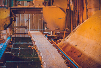 Sawmill. Process of machining logs in sawmill machine saws the tree trunk