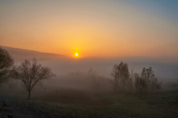 Fototapeta na wymiar Beautiful foggy autumn sunrise landscape.