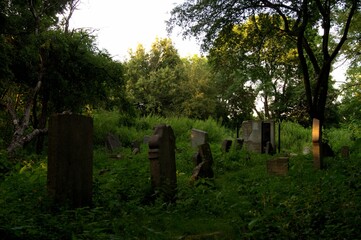 Old Jewish cemetery "KIrkut" in Lublin.3