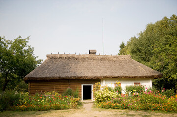 Fototapeta na wymiar traditional ukrainian house