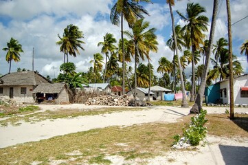 Fototapeta premium Stone houses in the rural village of Jambiani, Zanzibar 