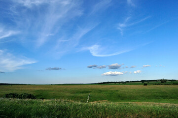 Obraz premium field and sky