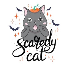 Black cat in a Halloween pumpkin and ghost. Background is separate.