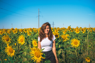 Beautiful young smiling woman in a field of sunflowers in a white shirt