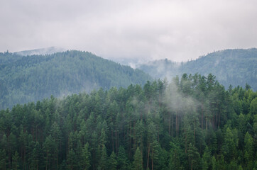 Beautiful green  forest mountains wiht fog