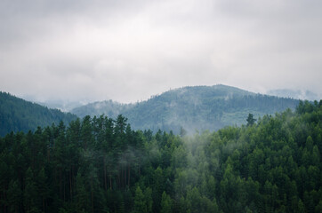 Beautiful green  forest mountains wiht fog