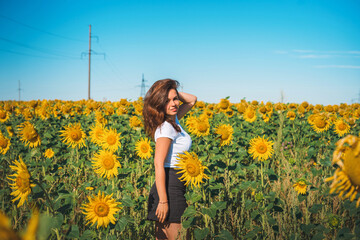 Naklejka na ściany i meble Portrait of a pretty girl in a field of sunflowers. Warm summer shot in a field of sunflowers.