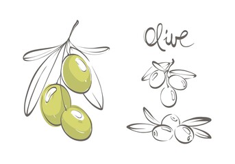 Olives. Graphic images in berries for a logotype or label. Set vector design elements.