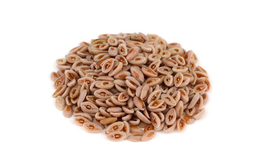 Psyllium (Ispaghula) Seed Isolated on White Background. Dietary Fiber Food Supplement.