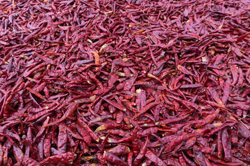 Dried chilies  that are dried in the sun.