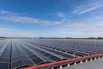 Solar photovoltaic modules installed in a power generation plant