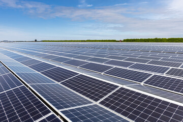 Solar photovoltaic modules installed in a power generation plant
