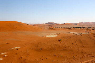 The sand dunes of the Namib-Naukluft Park, Namibia, Africa