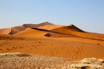 Fototapeta na wymiar The sand dunes of the Namib-Naukluft Park, Namibia, Africa