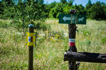 Frecce e cartelli che indicano la direzione della Via Francigena sul tratto appenninico
