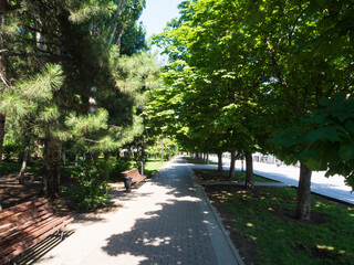 Central city embankment. Summer view.
