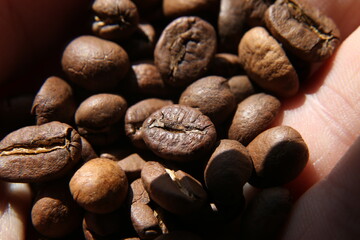 loose coffee beans background texture