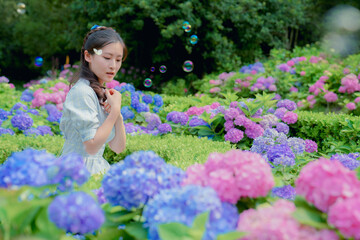 The hydrangea garden in rainy season, the girl strolls happily in the garden
