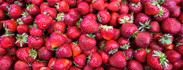 Fresh organic red ripe Strawberry fruit background closeup.