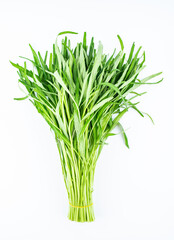 Handful of fresh convolvulus on white background