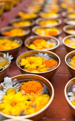 Buddhist flower offerings or gifts in bowls and rows