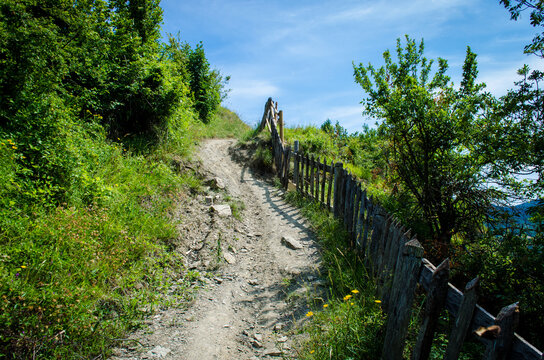 Un tratto della Via Francigena nei boschi dell'appennino parmense prima di arrivare a Berceto