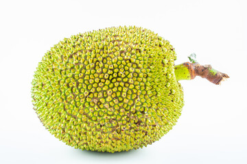 One fresh fruit jackfruit on white background