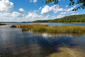 Sunny summer day by lake. taken by Lithuania