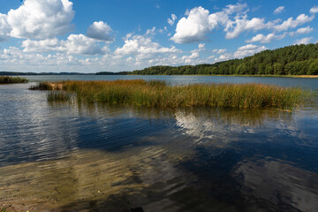 Fototapeta premium Sunny summer day by lake. taken by Lithuania