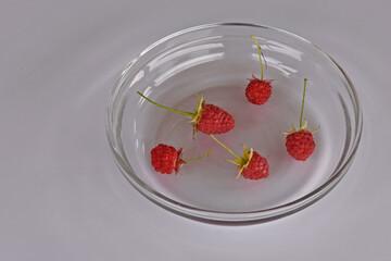Glass plate with a few raspberries on stalks on a white tabletop