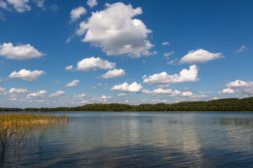 Sunny summer day by lake. taken by Lithuania