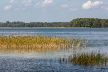 Sunny summer day by lake. taken by Lithuania
