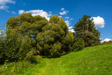 summer landscapes in Latvia