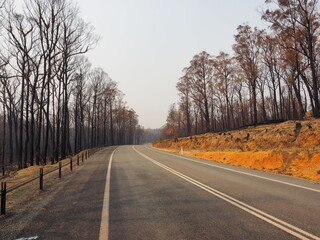 Fototapeta premium Australijski pożar