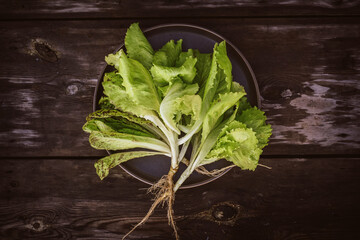 Pattern from fresh Lettuce leaveson a wooden dark table. Batavia salad. Authentic still life with...