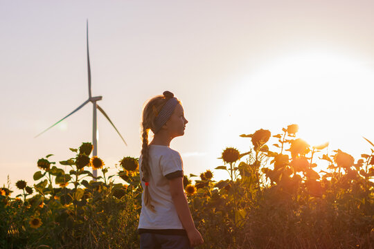 Cute girl in white t-shirt smelling sunflower in sunset field with wind turbines farm on background. Child with long braid hair on countryside landscape with yellow flowers. Farming concept wallpaper.