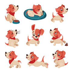 Funny Jack Russell Terrier Character Wriggling Tail, Running and Sitting Vector Set
