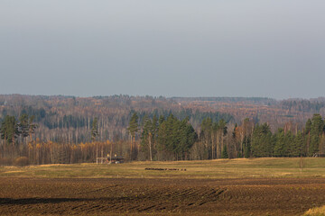 autumn landscapes with clouds, fields and forests