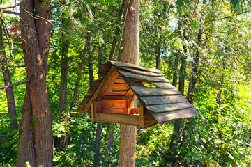 Beautiful wooden bird feeders. Wooden house for birds in the forest. Outdoor bird feeder. Bird feeders in park. Trees in the background. Arboretum Alexandria in Bila Tserkva. Summer sunny day