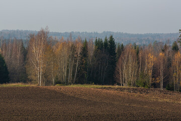 Fototapeta premium autumn landscapes with clouds, fields and forests