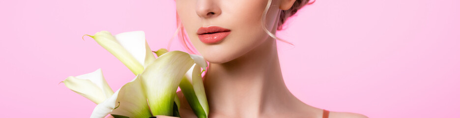 cropped view of elegant beautiful woman holding calla flowers isolated on pink, panoramic shot