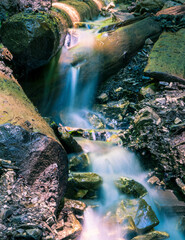 Water stream flowing between rocks into the forest. Water spring in Bucegi National Park.
