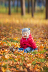 happy boy and fallen leaves playing in autumn park.